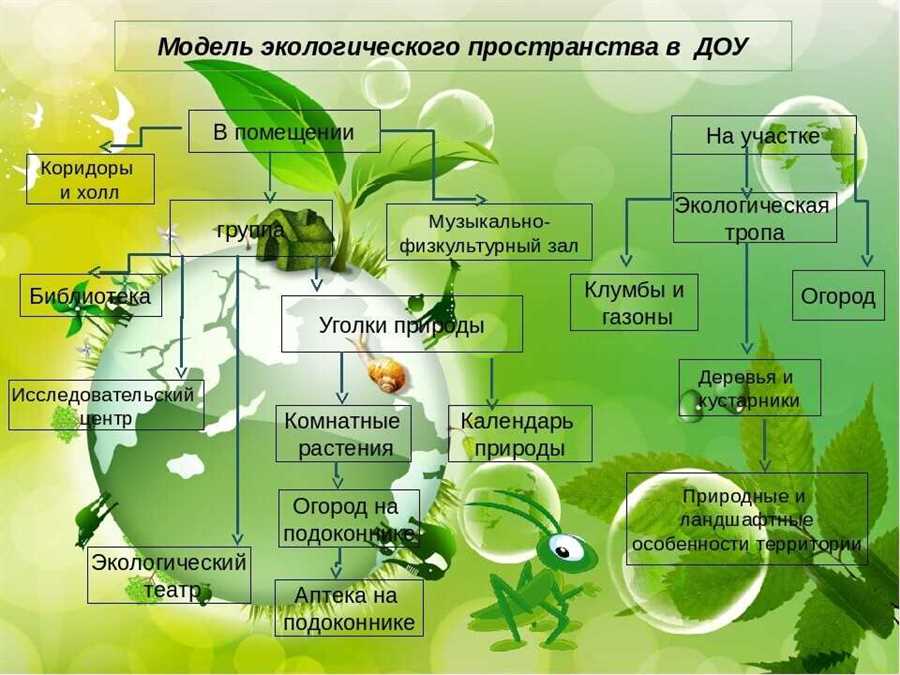 Экологическое просвещение: воспитание сознательных граждан будущего